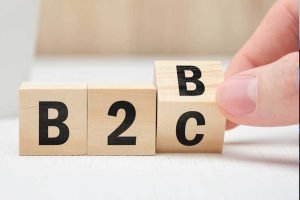 sistema para negocios b2c b2b