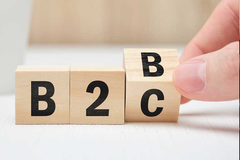 sistema para negocios b2c b2b